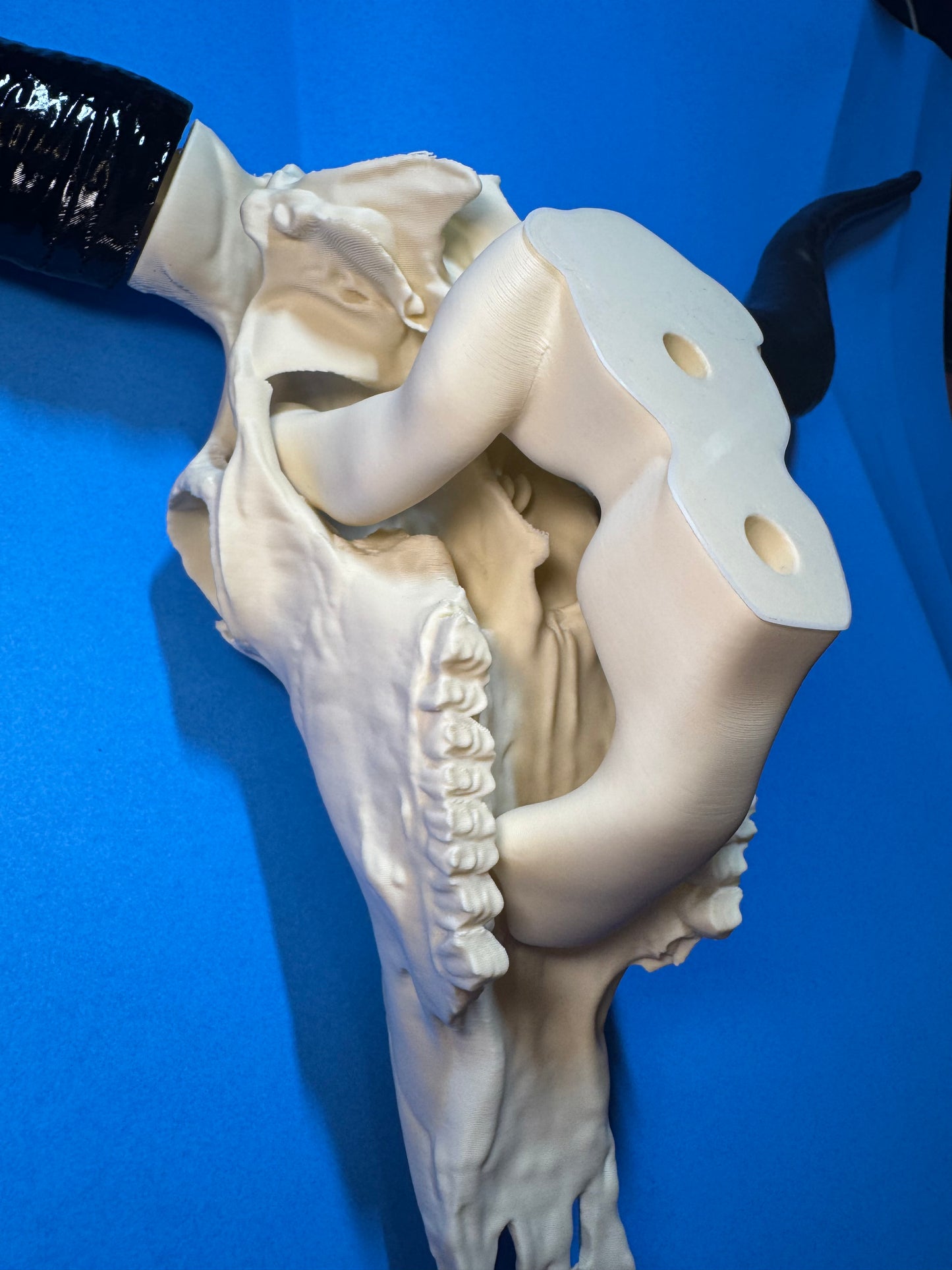 3D Printed Bull Skull Decor | Faux Western Longhorn Skull | Rustic Farmhouse & Western Wall Decor