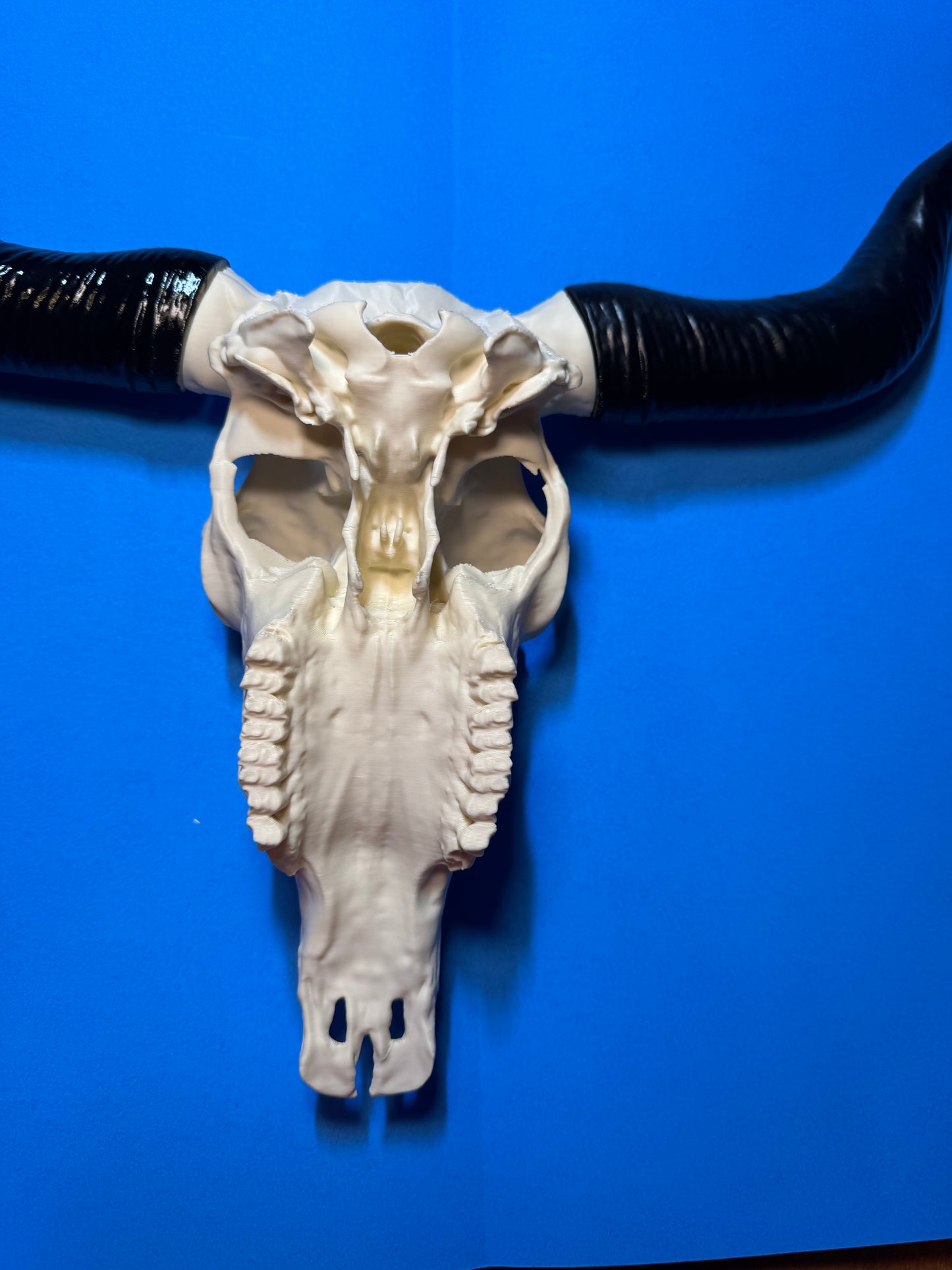 3D Printed Bull Skull Decor | Faux Western Longhorn Skull | Rustic Farmhouse & Western Wall Decor