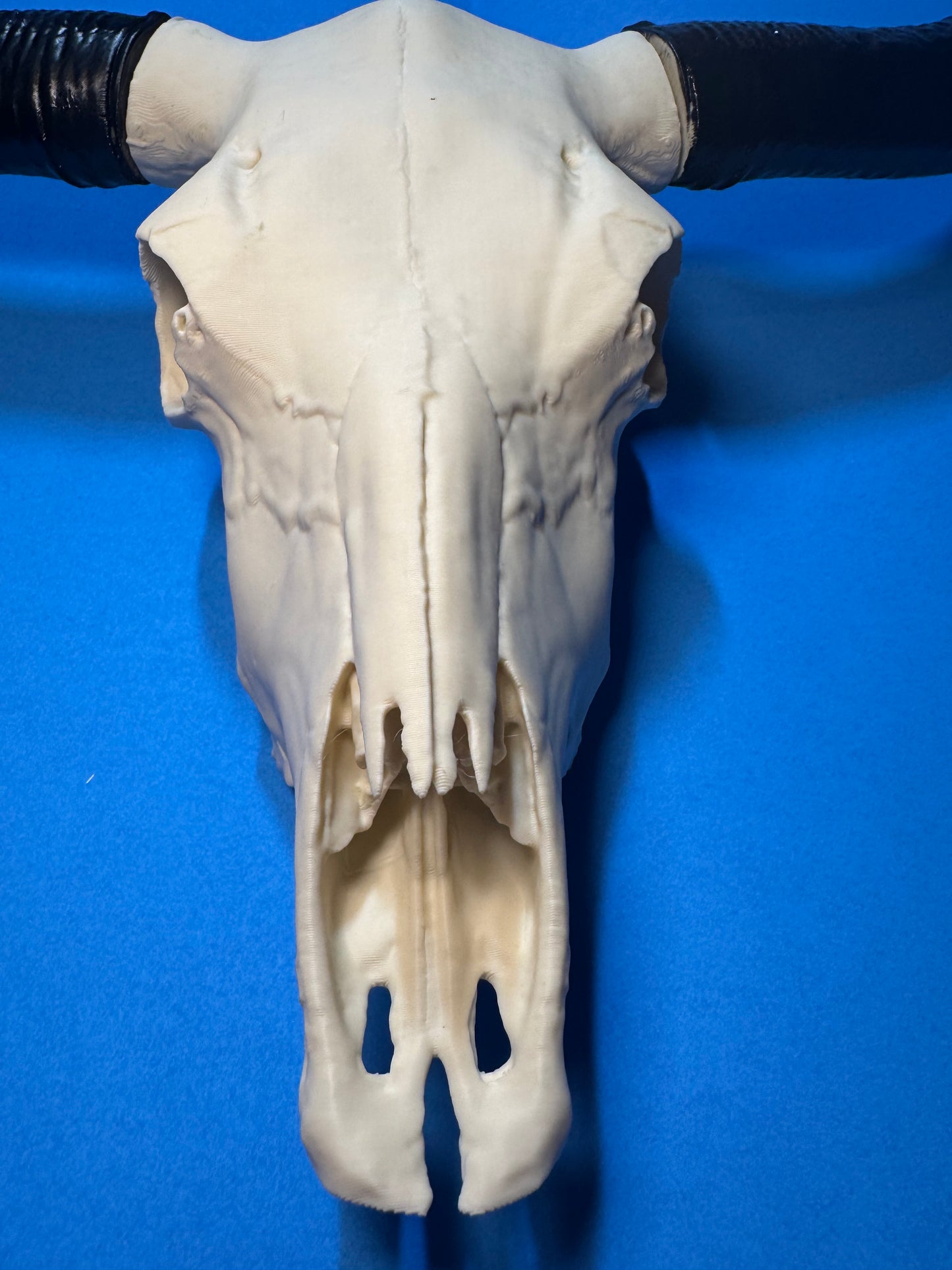 3D Printed Bull Skull Decor | Faux Western Longhorn Skull | Rustic Farmhouse & Western Wall Decor