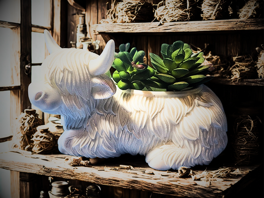 Mini Highland Cow Planter | Farmhouse Succulent Pot | Cute Cow Flower Pot | Rustic Desk & Kitchen Decor | Gift for Plant Lovers | Gift for Cow Lovers